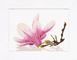 PN-0008162 Набір для вишивки хрестом LanArte Magnolia Twig with Flower "Гілочка магнолії"