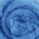 6009 Шерсть для валяния Новозеландская (27 микрон) 50 г. 1062262 фото