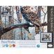 73-91428 Набір для малювання фарбами за номерами "Мудра сова" Dimensions 1074194 фото 3