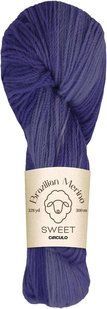 9052 BRAZILIAN MERINO SWEET пряжа (100% меринос .100г .300 м ), фіолетовий/бузковий 1078188 фото